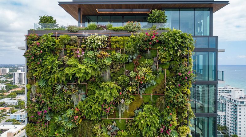 捷克街头植物视频 - 垂直花园建造全记录